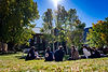 SSCS Homepage Image.jpg